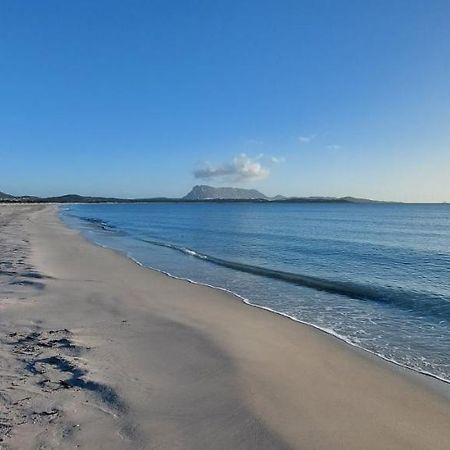 Appartamento bilocale 2 posti vicino al centro San Teodoro  Esterno foto