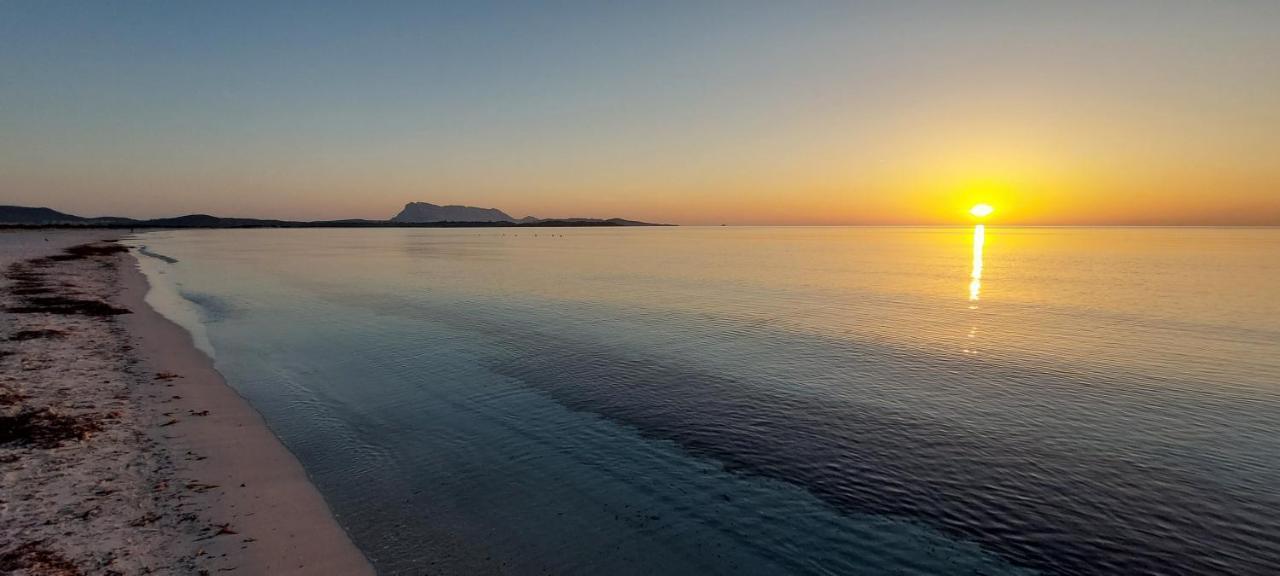 Appartamento bilocale 2 posti vicino al centro San Teodoro  Esterno foto